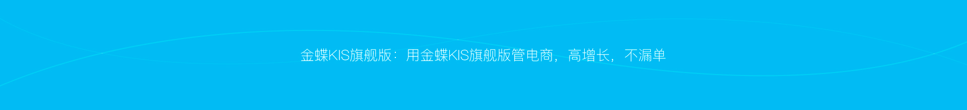 金蝶KIS云旗舰版