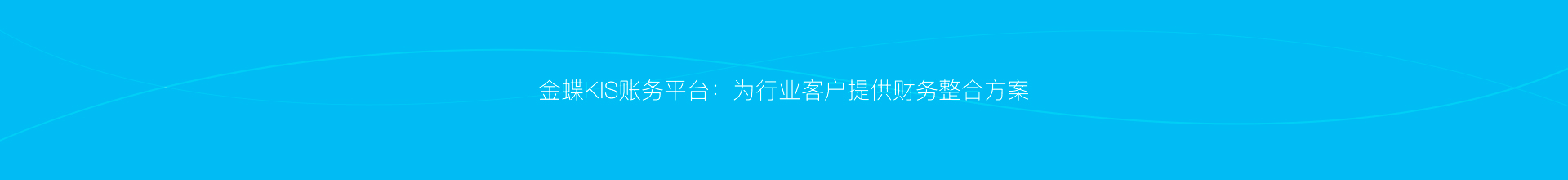 金蝶KIS账务平台