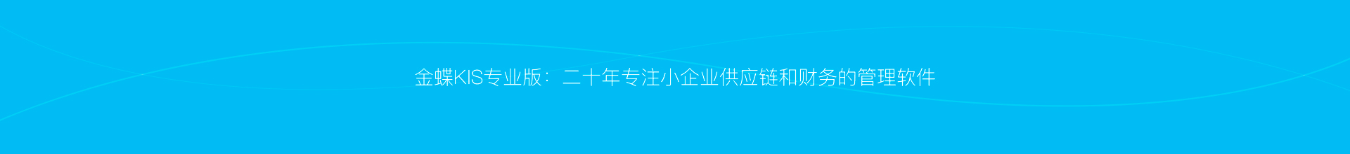金蝶KIS云专业版